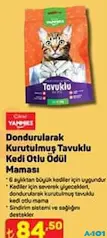 KİWİ YAMMİES DONDURULARAK KURUTULMUŞ TAVUKLU KEDİ OTLU ÖDÜL MAMASI